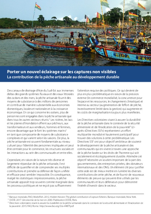 Porter un nouvel éclairage sur les captures non visibles: La contribution de la pêche artisanale au développement durable Porter un nouvel éclairage sur les captures non visibles: La contribution de la pêche artisanale au développement durable