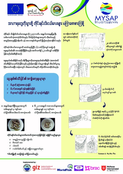 Partial harvesting of small indigenous fish species (Burmese version)