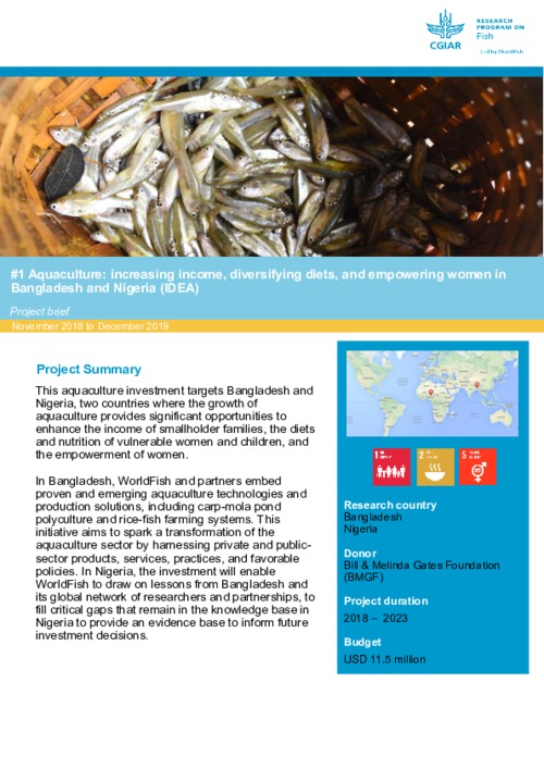 Aquaculture: increasing income, diversifying diets, and empowering women in Bangladesh and Nigeria (IDEA). Project brief November 2018 to December 2019 Aquaculture: increasing income, diversifying diets, and empowering women in Bangladesh and Nigeria (IDEA). Project brief November 2018 to December 2019