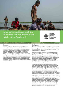 Increased production of small fish in wetlands combats micronutrient deficiencies in Bangladesh Increased production of small fish in wetlands combats micronutrient deficiencies in Bangladesh
