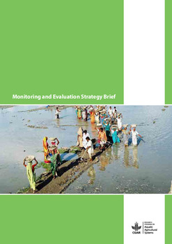 Monitoring and evaluations strategy brief Monitoring and evaluations strategy brief