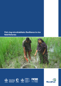 Fish ring microhabitats: Resilience in rice field fisheries Fish ring microhabitats: Resilience in rice field fisheries