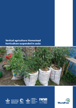 Vertical agriculture: Homestead horticulture suspended in sacks Vertical agriculture: Homestead horticulture suspended in sacks