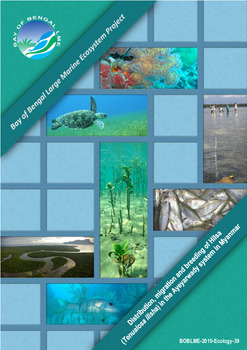 Distribution, migrations and breeding of Hilsa (Tenualosa ilisha) in the Ayeyarwady system in Myanmar Distribution, migrations and breeding of Hilsa (Tenualosa ilisha) in the Ayeyarwady system in Myanmar
