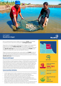 WorldFish in Egypt WorldFish in Egypt