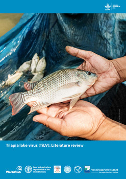 Tilapia lake virus (TiLV): Literature review Tilapia lake virus (TiLV): Literature review
