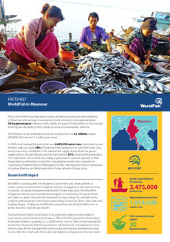 WorldFish in Myanmar WorldFish in Myanmar