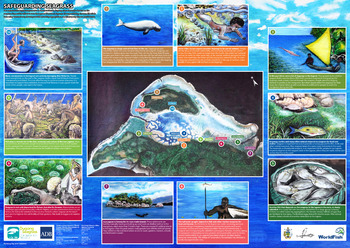 Safeguarding seagrass poster Safeguarding seagrass poster