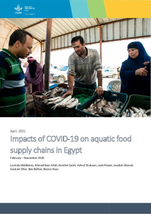 Impacts of COVID-19 on aquatic food supply chains in Egypt  February – November 2020