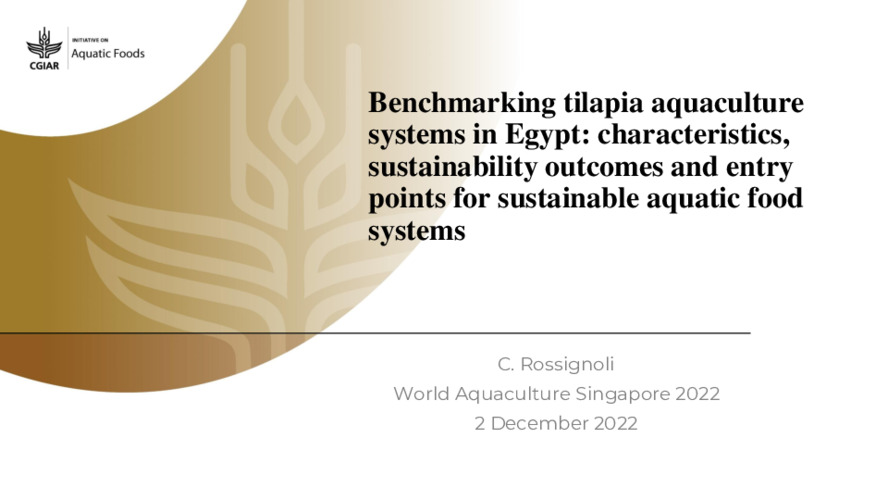 Benchmarking tilapia aquaculture systems in Egypt: characteristics, sustainability outcomes and entry points for sustainable aquatic food systems Benchmarking tilapia aquaculture systems in Egypt: characteristics, sustainability outcomes and entry points for sustainable aquatic food systems