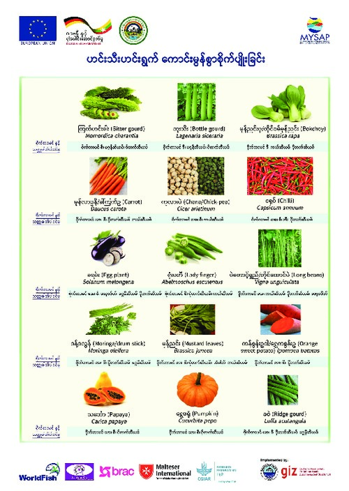 Better management practices (BMP) for vegetable production systems (Burmese version)