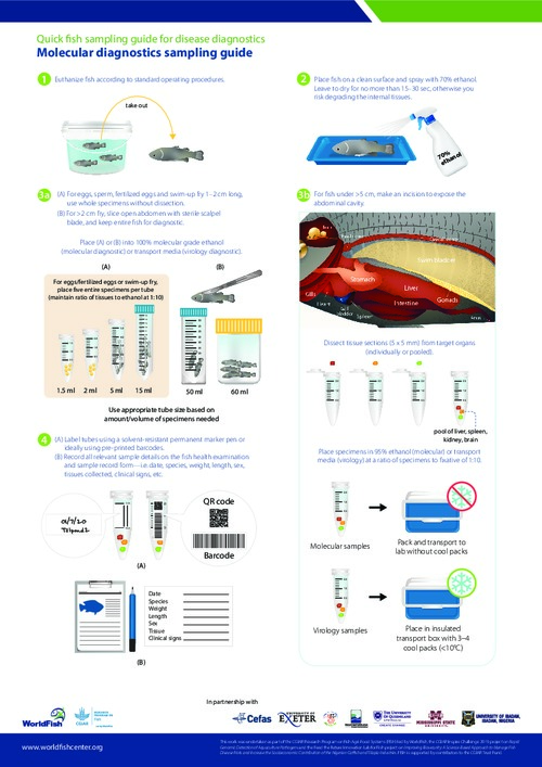 Quick fish sampling guide for disease diagnostics - Molecular diagnostics sampling guide