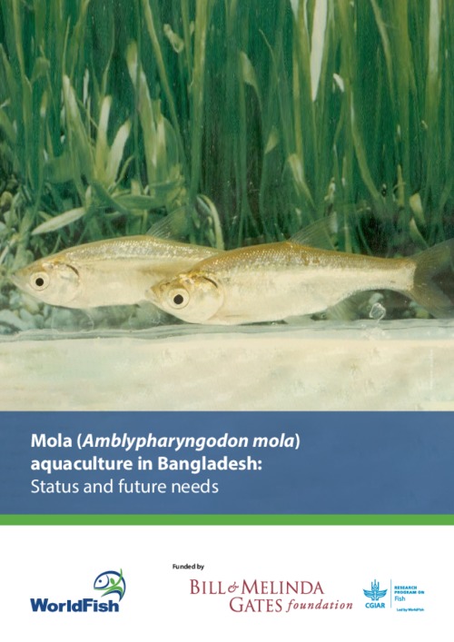 Mola (Amblypharyngodon mola) aquaculture in Bangladesh: Status and future needs