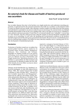 An external check for disease and health of hatchery-produced sea cucumbers.