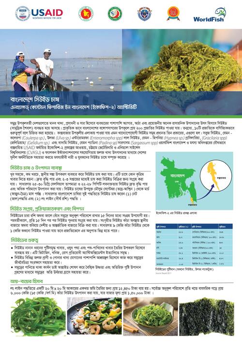 Seaweed Seaweed