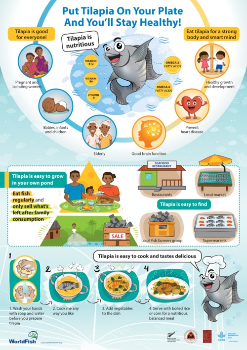 Put Tilapia On Your Plate And You'll Stay Healthy! Put Tilapia On Your Plate And You'll Stay Healthy!