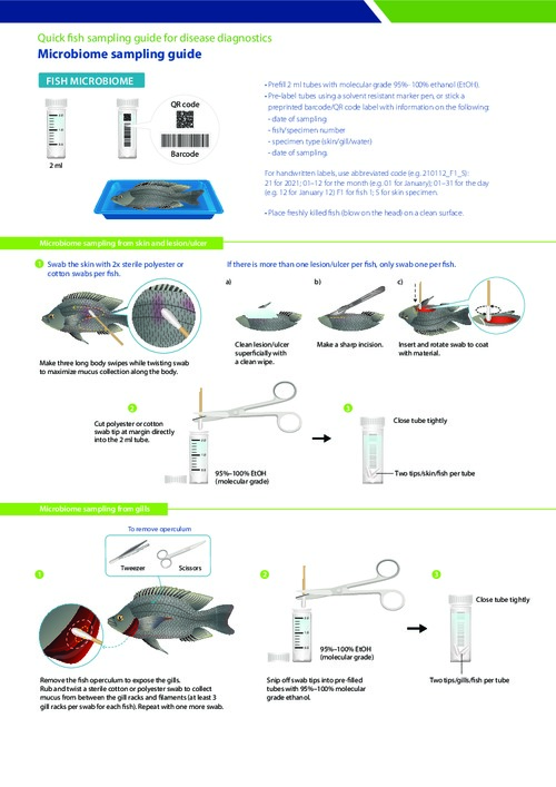 Quick fish sampling guide for disease diagnostics - Microbiome sampling guide