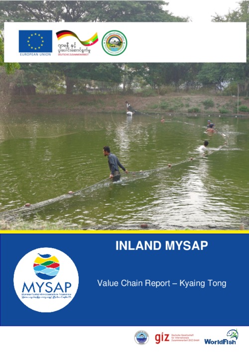 Inland MYSAP: Value chain report - Kyaing Tong Inland MYSAP: Value chain report - Kyaing Tong