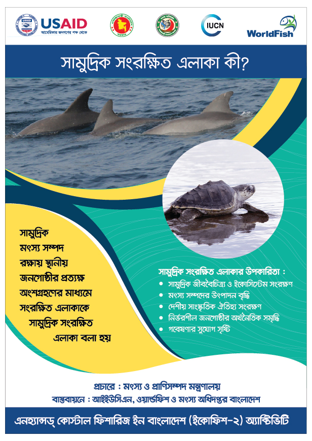 What is MPA? What is MPA?