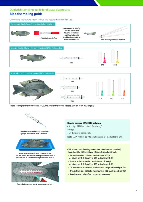 Quick fish sampling guide for disease diagnostics - Blood sampling guide