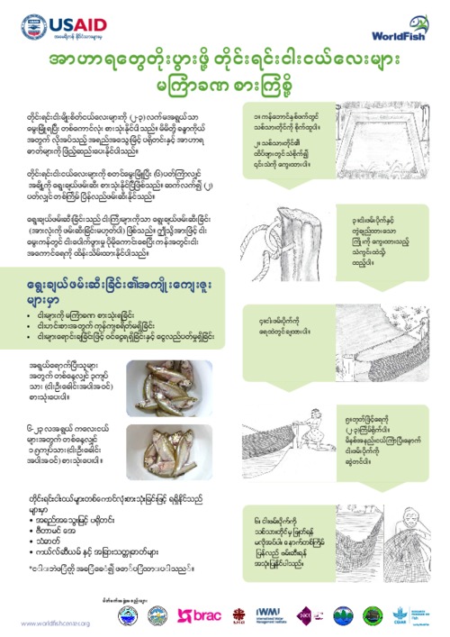 Fish for Livelihoods: SIS partial harvest (Burmese version)
