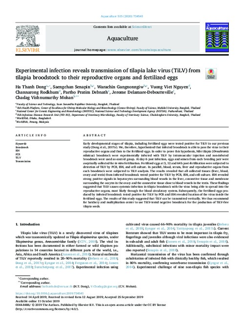 Experimental infection reveals transmission of tilapia lake virus (TiLV) from tilapia broodstock to their reproductive organs and fertilized eggs