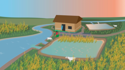 Antimicrobial Resistance Awareness Animation Video