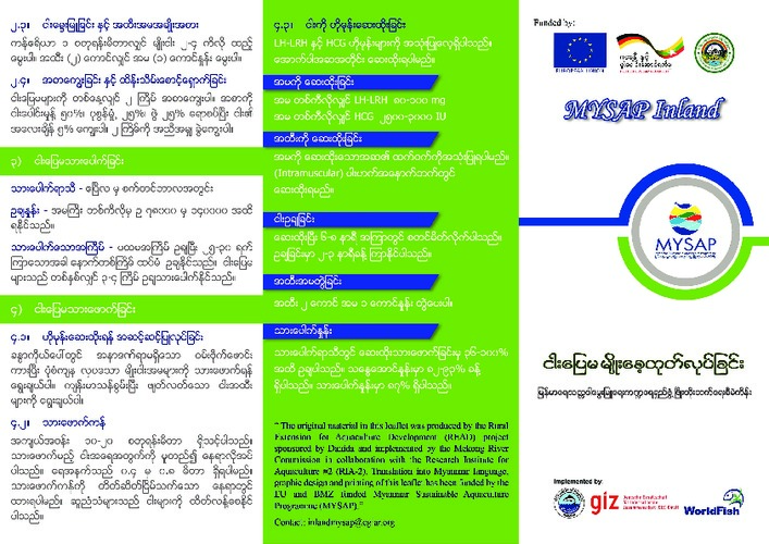 Climbing perch breeding and culture (Burmese version) Climbing perch breeding and culture (Burmese version)