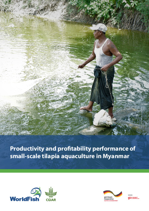 Productivity and profitability of small-scale tilapia aquaculture in Myanmar Productivity and profitability of small-scale tilapia aquaculture in Myanmar