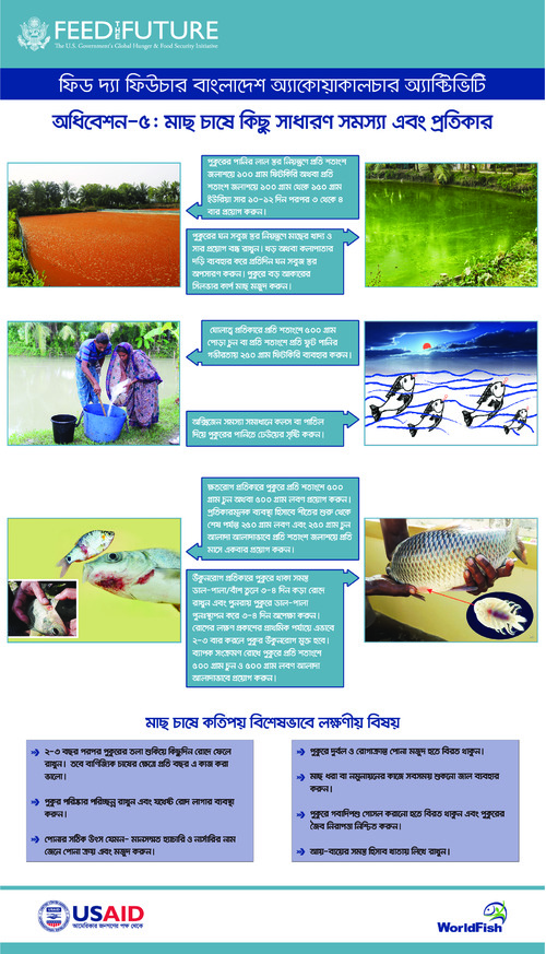 Festoon on common problems and solutions in aquaculture Festoon on common problems and solutions in aquaculture