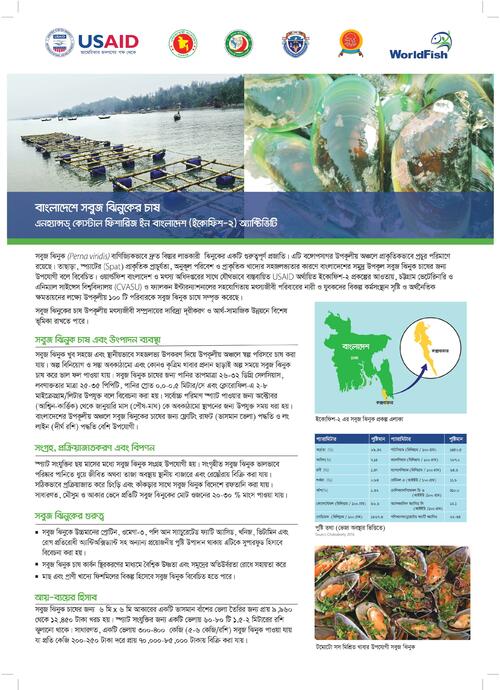 Green mussels Green mussels