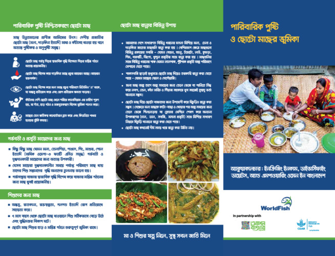 Family Nutrition and the Importance of Small Fish Family Nutrition and the Importance of Small Fish