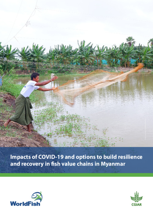 Impacts of COVID-19 and options to build resilience and recovery in fish value chains in Myanmar Impacts of COVID-19 and options to build resilience and recovery in fish value chains in Myanmar