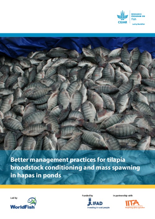 Better management practices for tilapia broodstock conditioning and mass spawning in hapas in ponds Better management practices for tilapia broodstock conditioning and mass spawning in hapas in ponds