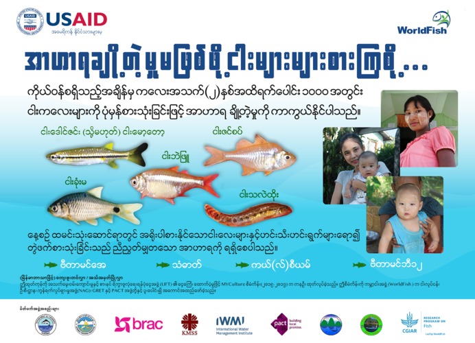 Fish for Livelihoods: 1000 days poster (Burmese version)