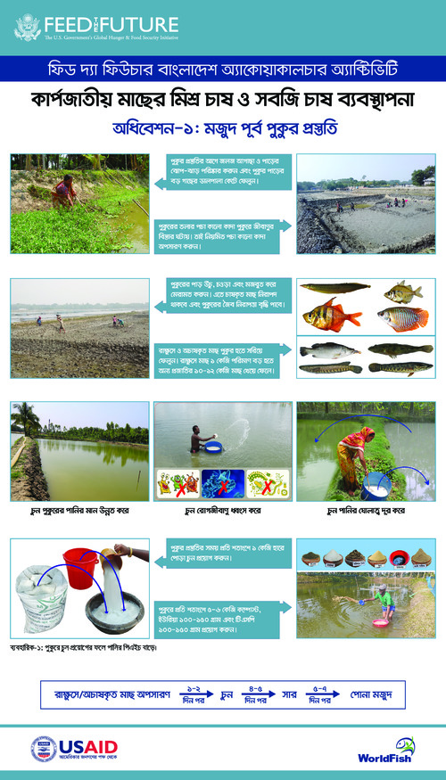 Festoon on carp mix culture and vegetable cultivation Festoon on carp mix culture and vegetable cultivation