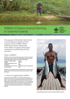 Milkfish (Chanos chanos) farming in Solomon Islands
