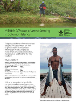 Milkfish (Chanos chanos) farming in Solomon Islands Milkfish (Chanos chanos) farming in Solomon Islands
