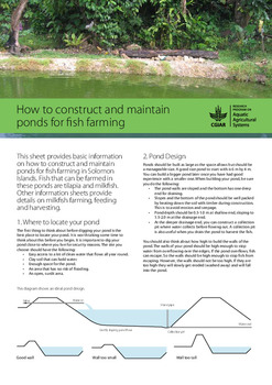 How to construct and maintain ponds for fish farming