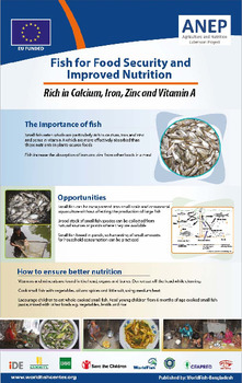 Fish for food security and improved nutrition: Rich in calcium, iron, zinc and vitamin A Fish for food security and improved nutrition: Rich in calcium, iron, zinc and vitamin A