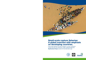 Small-scale capture fisheries: a global overview with emphasis on developing countries: a preliminary report of the Big Numbers Project Small-scale capture fisheries: a global overview with emphasis on developing countries: a preliminary report of the Big Numbers Project