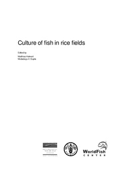 Culture of fish in rice fields