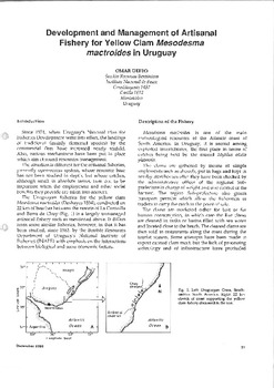 Development and management of artisanal fishery for yellow clam Mesodesma mactroides in Uruguay Development and management of artisanal fishery for yellow clam Mesodesma mactroides in Uruguay