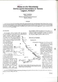 Notes on the silverbiddy Gerres oyena (Gerreidae) in Tarawa Lagoon, Kiribati Notes on the silverbiddy Gerres oyena (Gerreidae) in Tarawa Lagoon, Kiribati