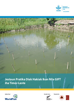 Jestaun Pratika Diak Hakiak Ikan Nila GIFT iha Timor-Leste Jestaun Pratika Diak Hakiak Ikan Nila GIFT iha Timor-Leste