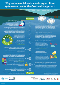 Why antimicrobial resistance in aquaculture systems matters for the One Health approach Why antimicrobial resistance in aquaculture systems matters for the One Health approach