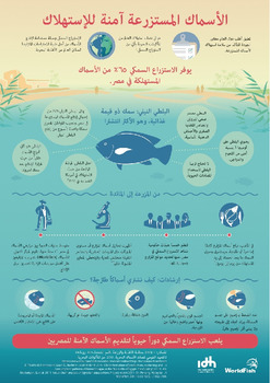 Farmed tilapia: A nutritious food source for Egypt (Arabic version)