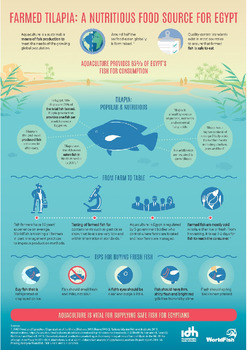 Farmed tilapia: A nutritious food source for Egypt Farmed tilapia: A nutritious food source for Egypt