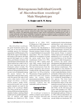 Heterogeneous individual growth of Macrobrachium rosenbergii male morphotypes