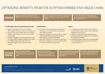 Optimizing benefits from the Egyptian farmed fish value chain Optimizing benefits from the Egyptian farmed fish value chain